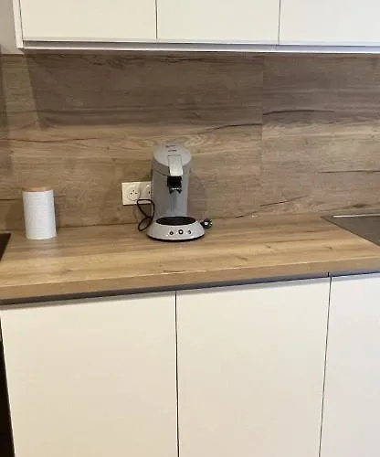 Chez Sam Lägenhet Langres